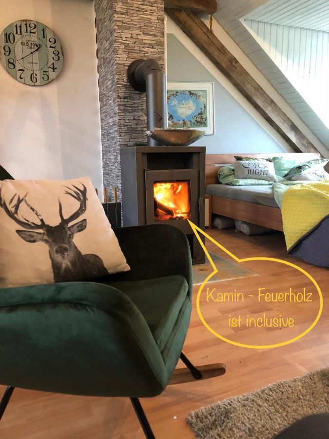 Hof Vierzehnender Im Hohen Venn - 70Qm Fachwerk-Studio - Grosses Wohn-Schlafzimmer Mit Dachterrasse Und Kaminofen - Separate Kueche - Perfekt Fuer Paare - Monschau - Eifel - Hunde Willkommen - Islandpferde Exterior photo
