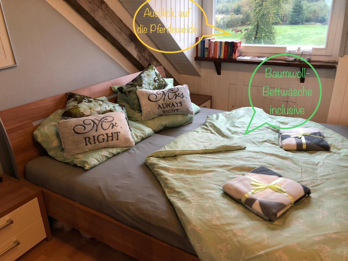 Hof Vierzehnender Im Hohen Venn - 70Qm Fachwerk-Studio - Grosses Wohn-Schlafzimmer Mit Dachterrasse Und Kaminofen - Separate Kueche - Perfekt Fuer Paare - Monschau - Eifel - Hunde Willkommen - Islandpferde Exterior photo