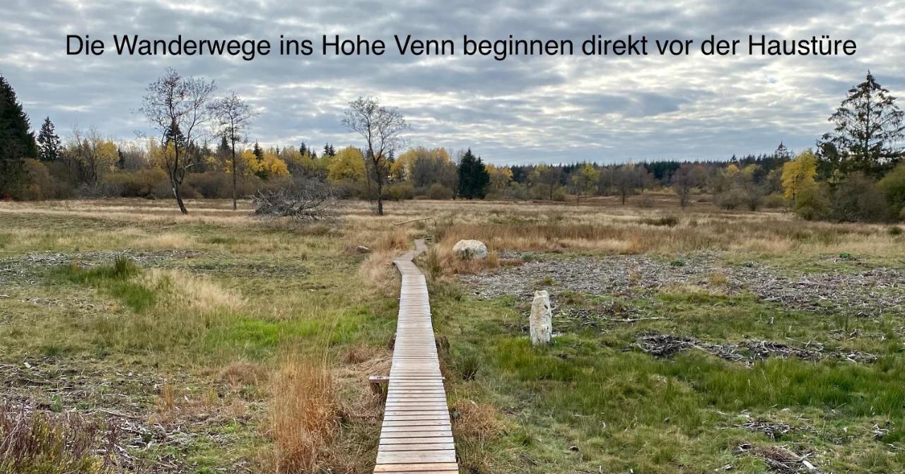 Hof Vierzehnender Im Hohen Venn - 70Qm Fachwerk-Studio - Grosses Wohn-Schlafzimmer Mit Dachterrasse Und Kaminofen - Separate Kueche - Perfekt Fuer Paare - Monschau - Eifel - Hunde Willkommen - Islandpferde Exterior photo