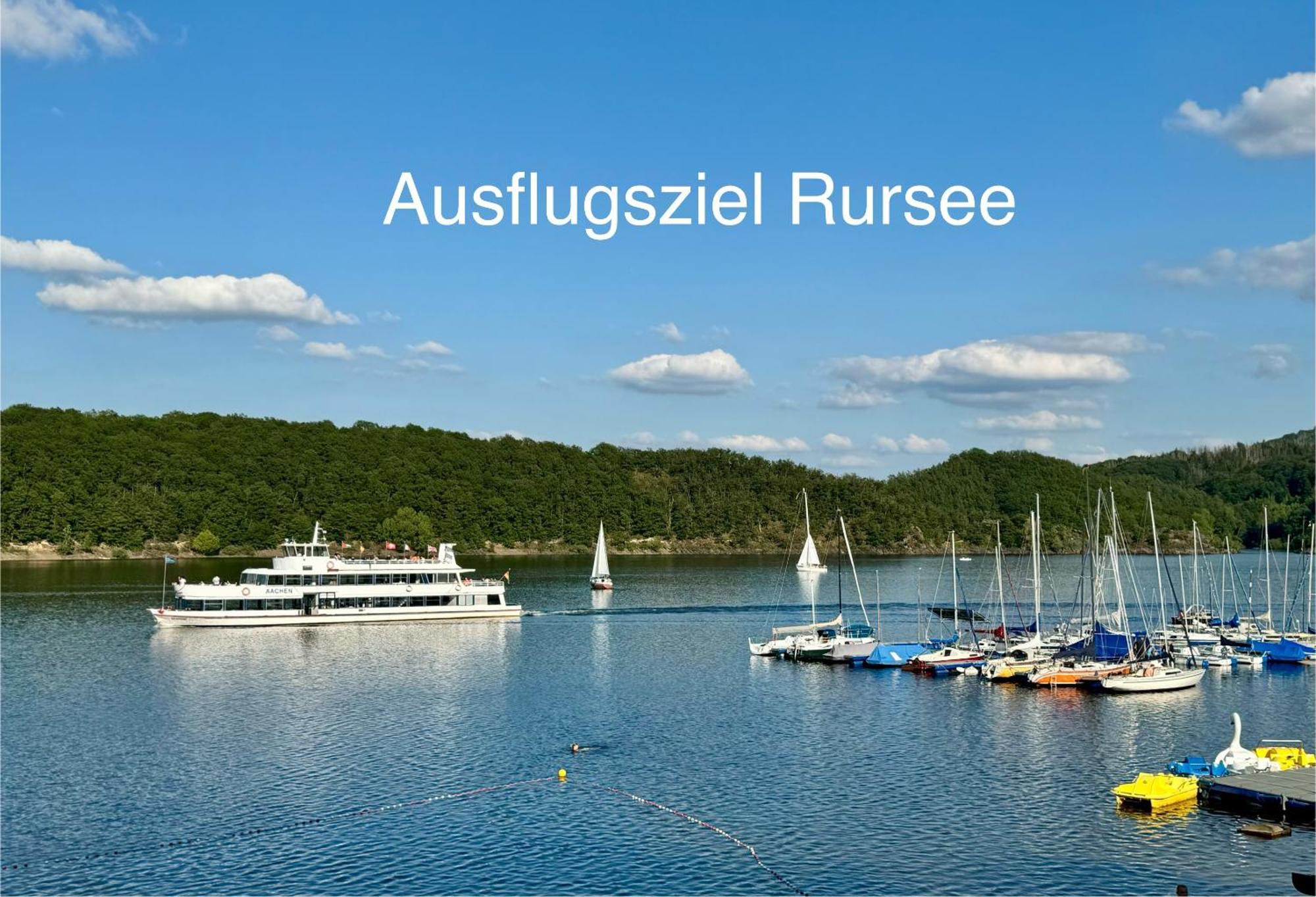 Hof Vierzehnender Im Hohen Venn - 70Qm Fachwerk-Studio - Grosses Wohn-Schlafzimmer Mit Dachterrasse Und Kaminofen - Separate Kueche - Perfekt Fuer Paare - Monschau - Eifel - Hunde Willkommen - Islandpferde Exterior photo