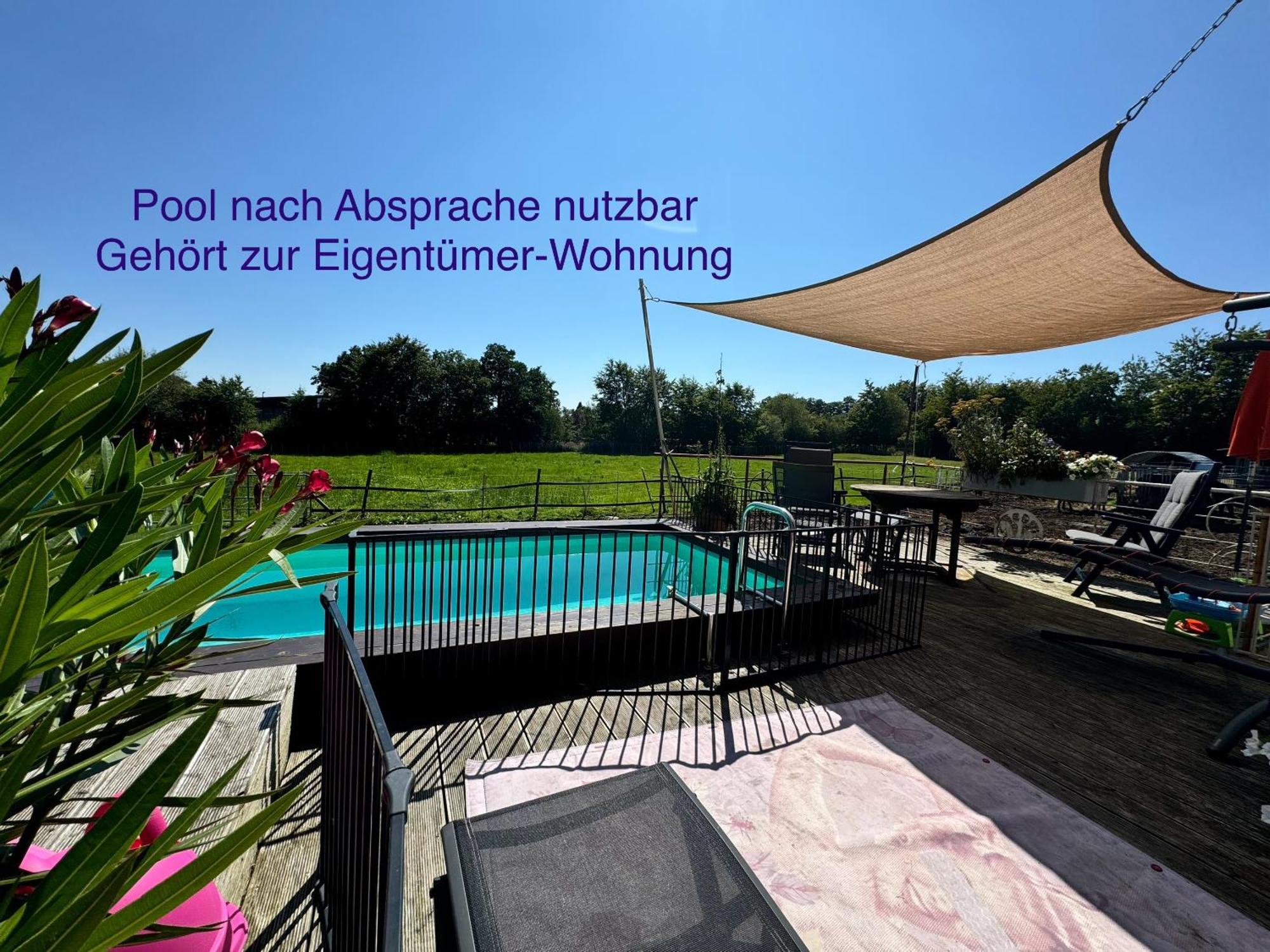 Hof Vierzehnender Im Hohen Venn - 70Qm Fachwerk-Studio - Grosses Wohn-Schlafzimmer Mit Dachterrasse Und Kaminofen - Separate Kueche - Perfekt Fuer Paare - Monschau - Eifel - Hunde Willkommen - Islandpferde Exterior photo