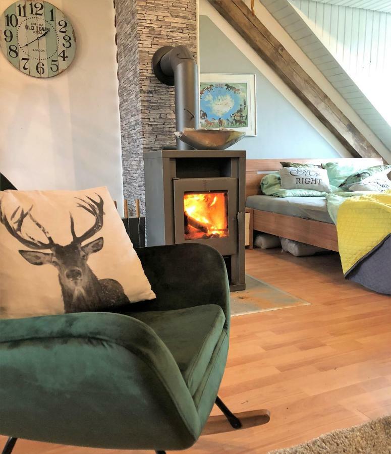 Hof Vierzehnender Im Hohen Venn - 70Qm Fachwerk-Studio - Grosses Wohn-Schlafzimmer Mit Dachterrasse Und Kaminofen - Separate Kueche - Perfekt Fuer Paare - Monschau - Eifel - Hunde Willkommen - Islandpferde Exterior photo