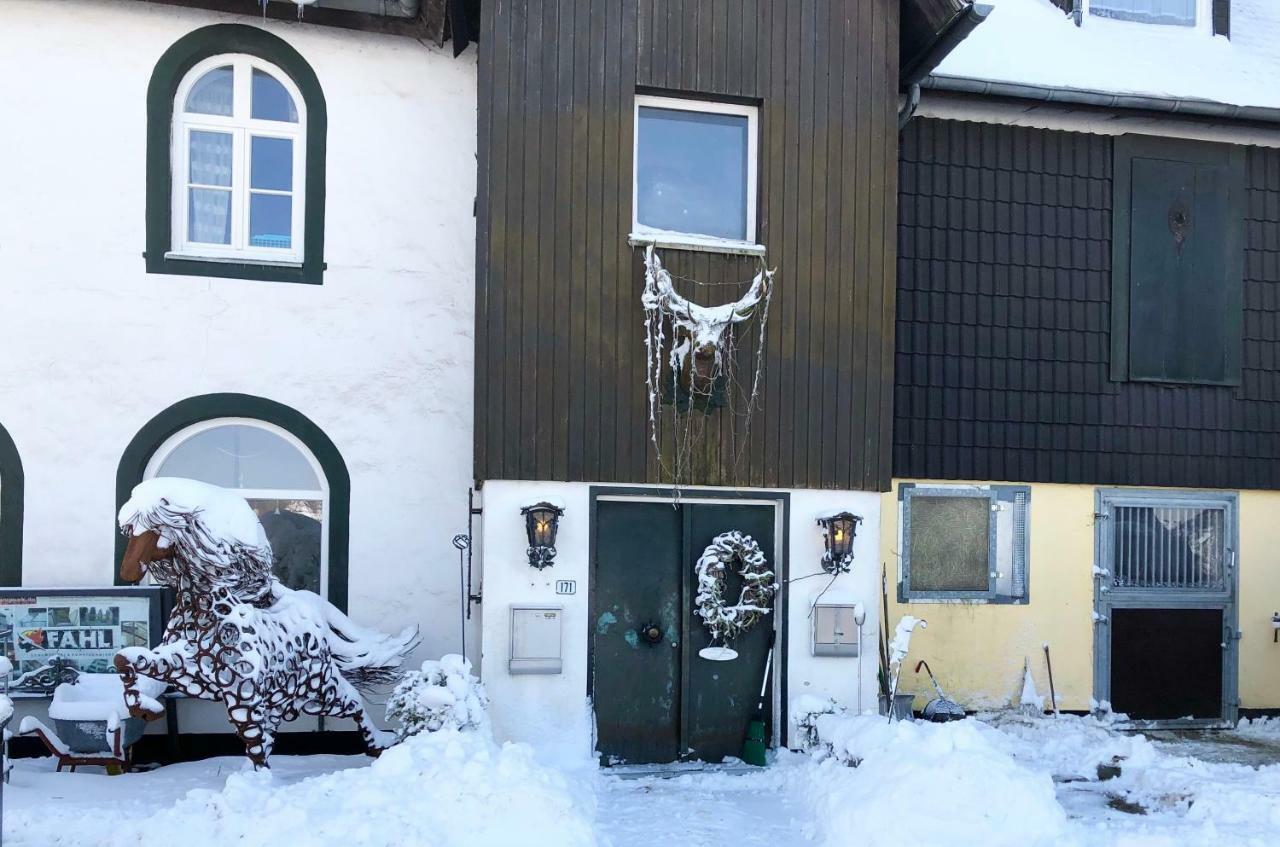 Hof Vierzehnender Im Hohen Venn - 70Qm Fachwerk-Studio - Grosses Wohn-Schlafzimmer Mit Dachterrasse Und Kaminofen - Separate Kueche - Perfekt Fuer Paare - Monschau - Eifel - Hunde Willkommen - Islandpferde Exterior photo